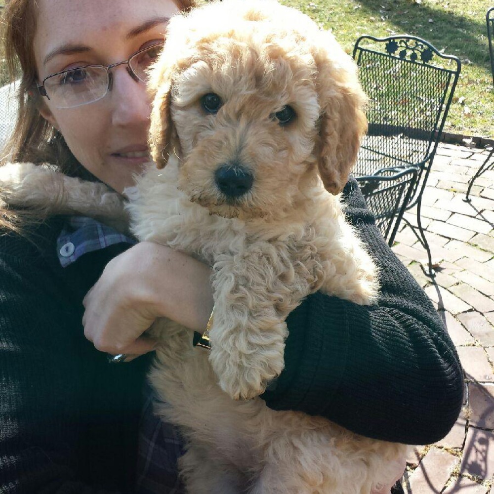 Meet your Posher, Maria